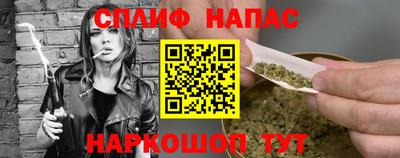 стаф Ставрополь