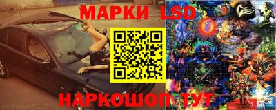 стаф Ставрополь