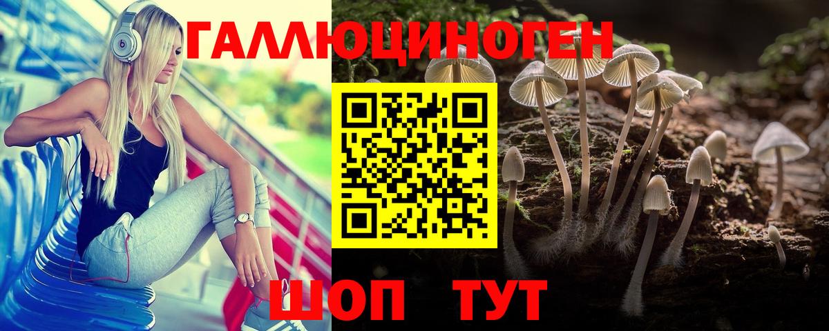 Новокуйбышевск  Галлюциногенные грибы Psilocybe  где купить наркоту  Вход с VPN 
